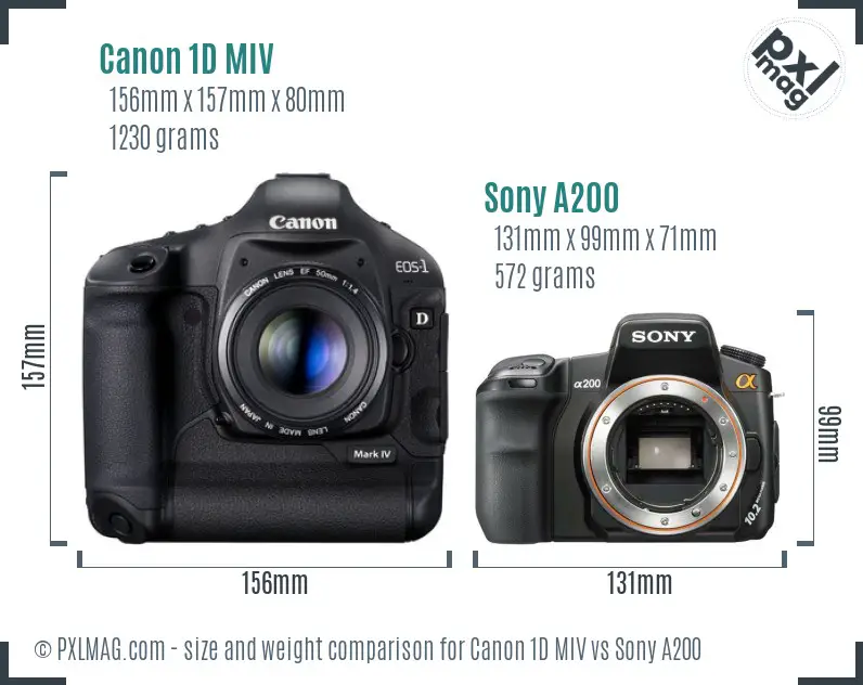 Canon 1D MIV vs Sony A200 size comparison