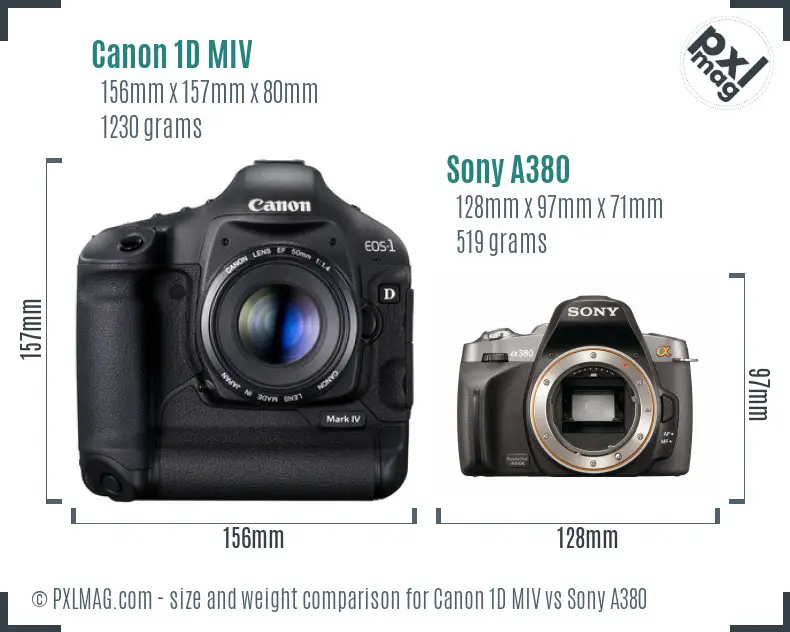 Canon 1D MIV vs Sony A380 size comparison