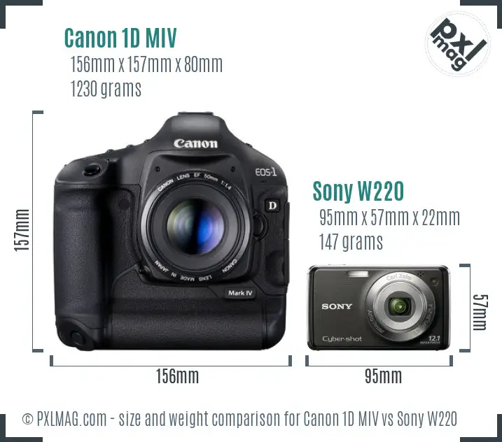 Canon 1D MIV vs Sony W220 size comparison