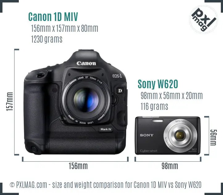 Canon 1D MIV vs Sony W620 size comparison