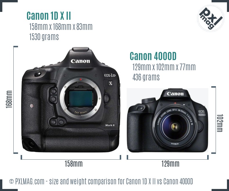Canon 1D X II vs Canon 4000D size comparison