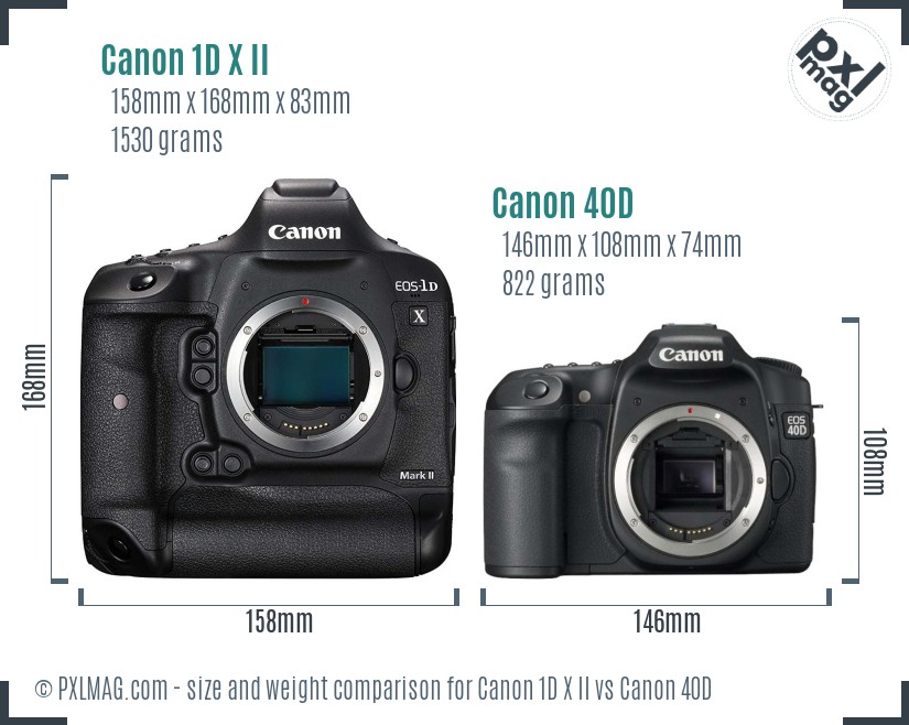 Canon 1D X II vs Canon 40D size comparison