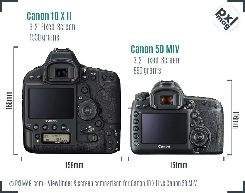 Canon 1D X II vs Canon 5D MIV Screen and Viewfinder comparison