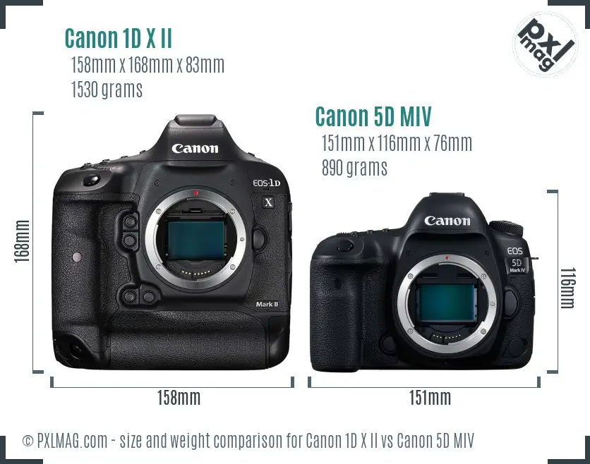 Canon 1D X II vs Canon 5D MIV size comparison