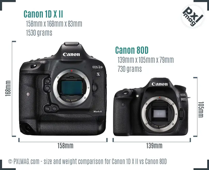 Canon 1D X II vs Canon 80D size comparison Canon 1D X II vs Canon 80D size comparison