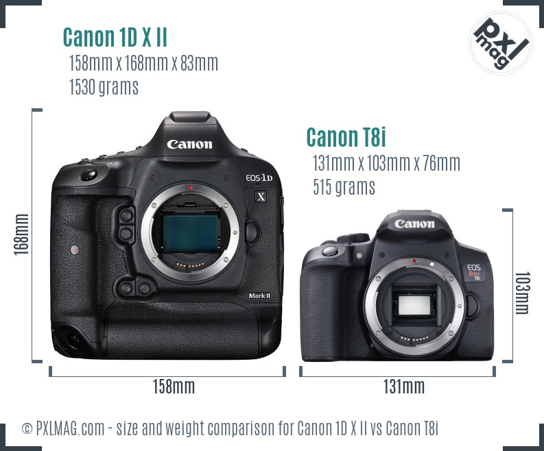 Canon 1D X II vs Canon T8i size comparison Canon 1D X II vs Canon T8i size comparison