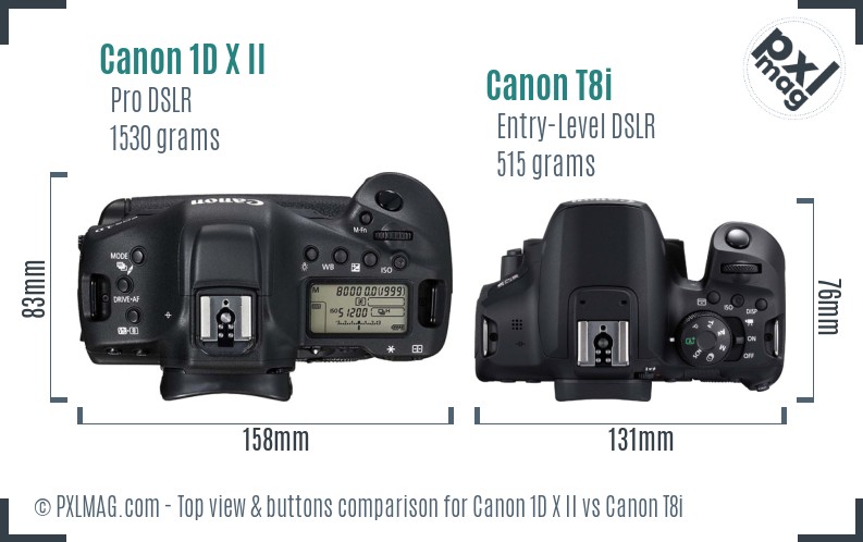 Canon 1D X II vs Canon T8i top view buttons comparison
