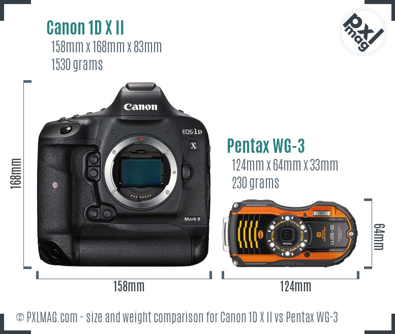 Canon 1D X II vs Pentax WG-3 size comparison