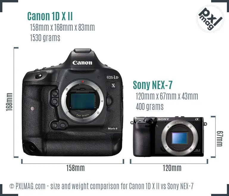 Canon 1D X II vs Sony NEX-7 size comparison
