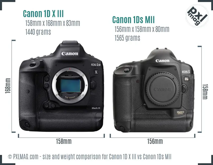 Canon 1D X III vs Canon 1Ds MII size comparison