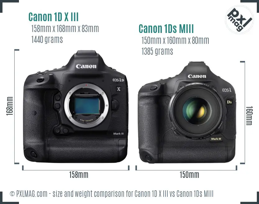 Canon 1D X III vs Canon 1Ds MIII size comparison
