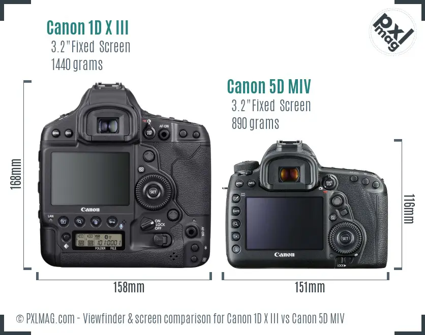 Canon 1D X III vs Canon 5D MIV Screen and Viewfinder comparison
