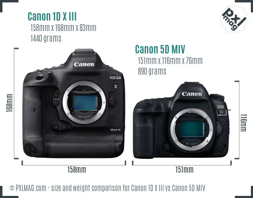 Canon 1D X III vs Canon 5D MIV size comparison