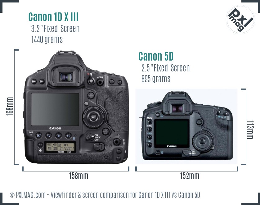 Canon 1D X III vs Canon 5D Screen and Viewfinder comparison