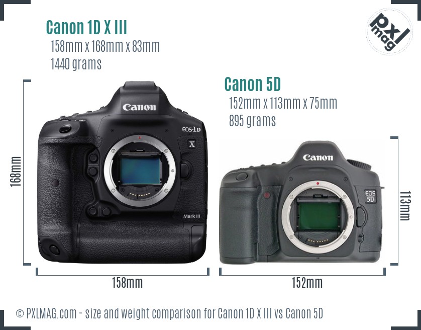 Canon 1D X III vs Canon 5D size comparison