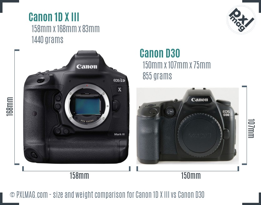 Canon 1D X III vs Canon D30 size comparison