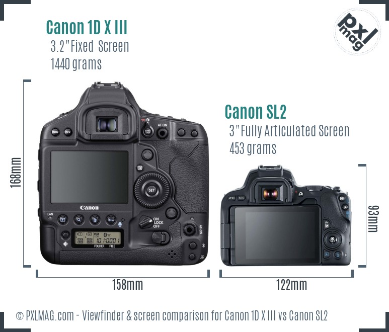 Canon 1D X III vs Canon SL2 Screen and Viewfinder comparison