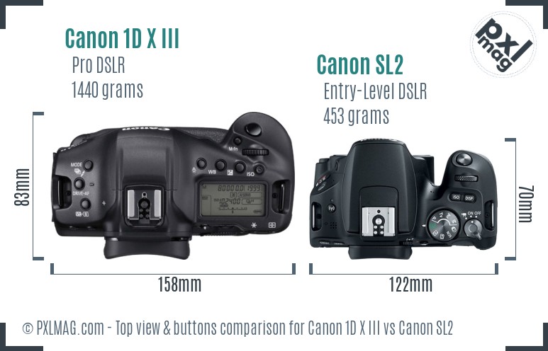 Canon 1D X III vs Canon SL2 top view buttons comparison
