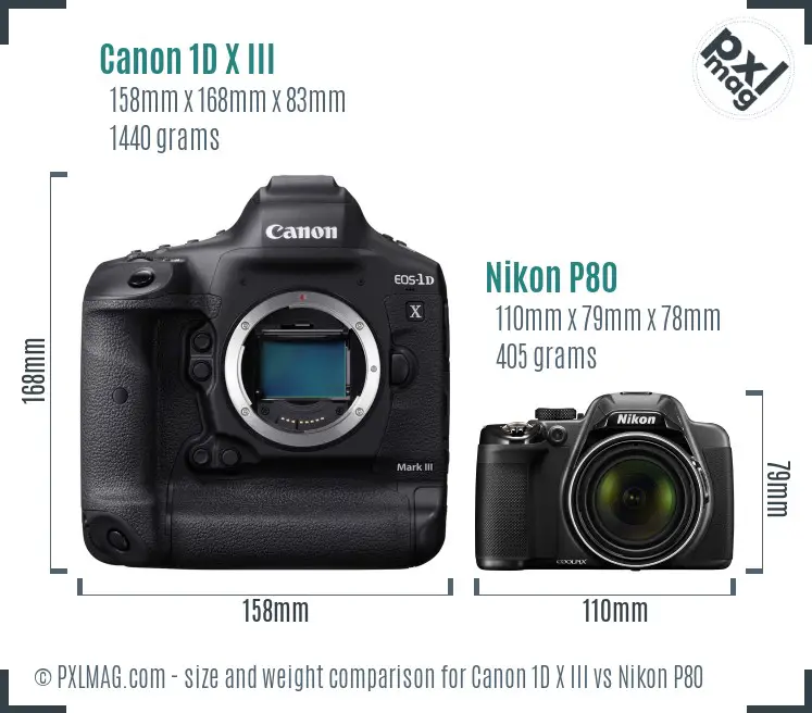 Canon 1D X III vs Nikon P80 size comparison