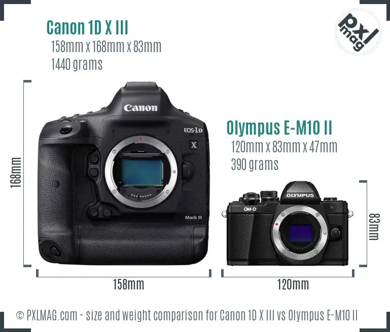 Canon 1D X III vs Olympus E-M10 II size comparison