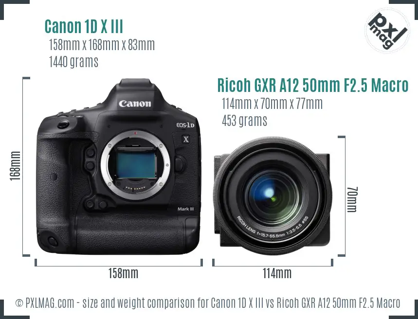 Canon 1D X III vs Ricoh GXR A12 50mm F2.5 Macro size comparison