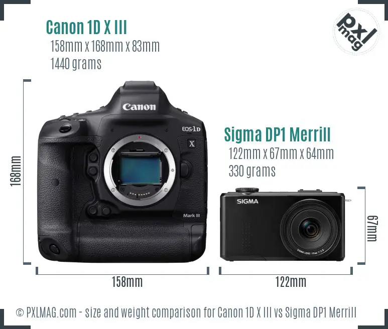 Canon 1D X III vs Sigma DP1 Merrill size comparison