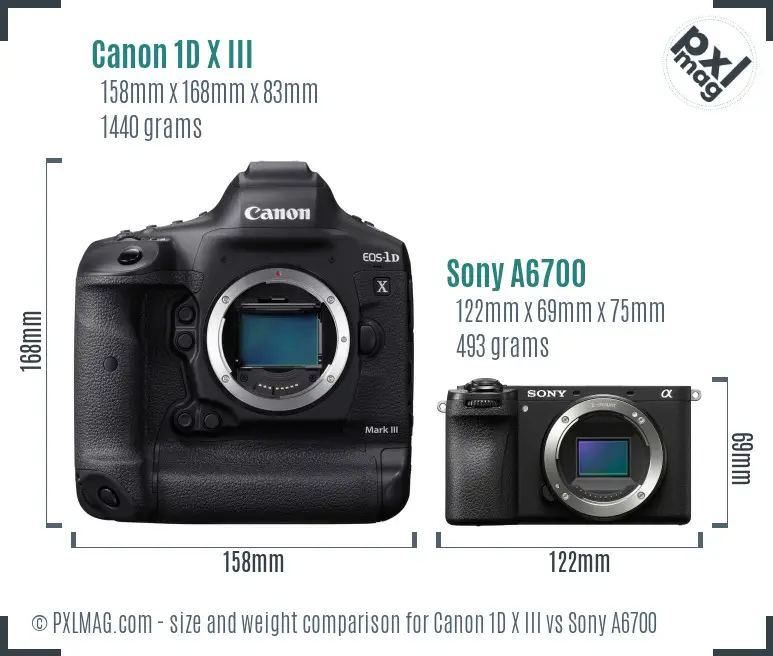 Canon 1D X III vs Sony A6700 size comparison Canon 1D X III vs Sony A6700 size comparison