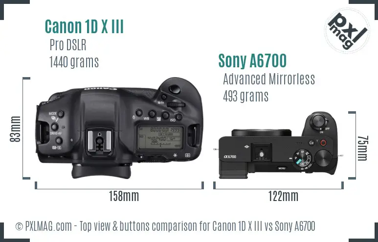 Canon 1D X III vs Sony A6700 top view buttons comparison Canon 1D X III vs Sony A6700 top view buttons comparison