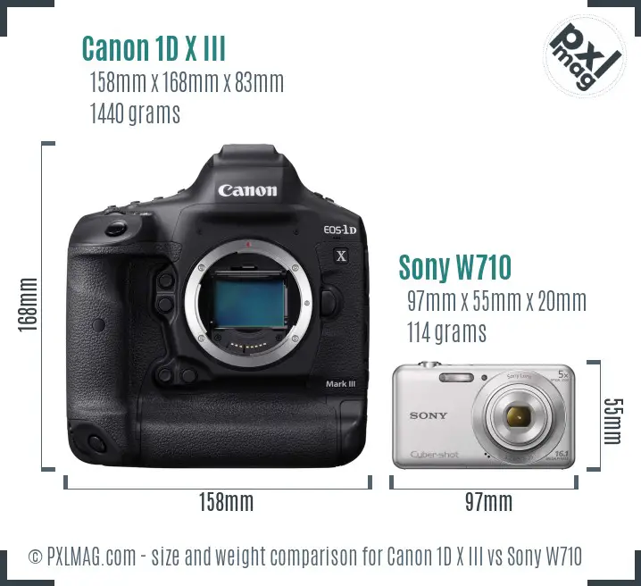 Canon 1D X III vs Sony W710 size comparison
