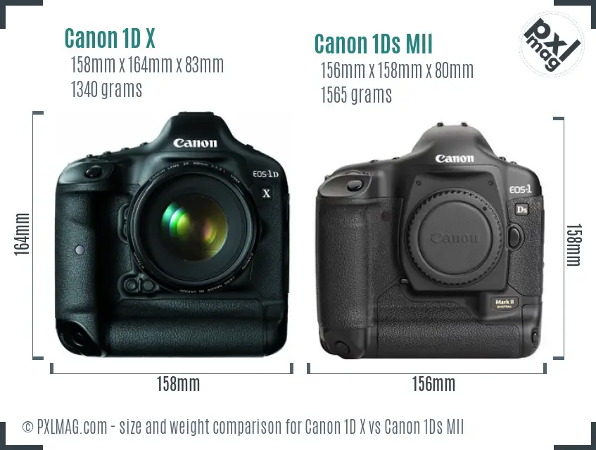 Canon 1D X vs Canon 1Ds MII size comparison