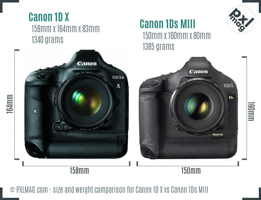 Canon 1D X vs Canon 1Ds MIII size comparison