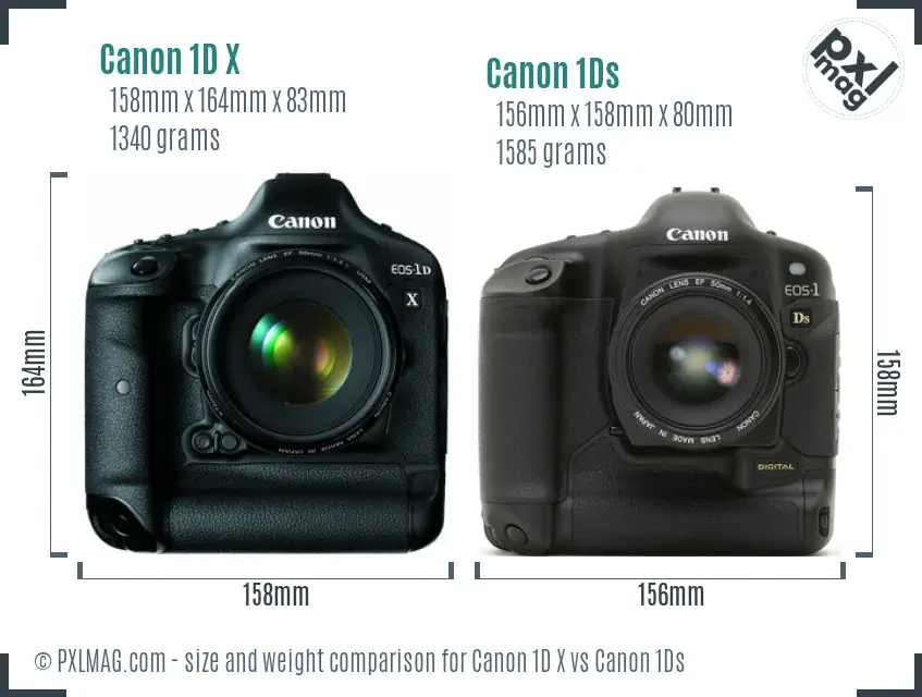 Canon 1D X vs Canon 1Ds size comparison