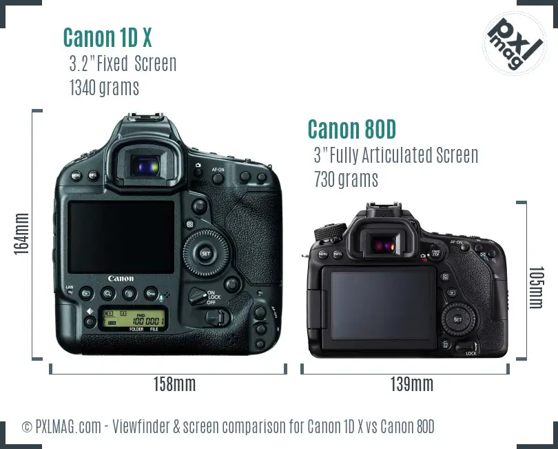 Canon 1D X vs Canon 80D Screen and Viewfinder comparison Canon 1D X vs Canon 80D Screen and Viewfinder comparison