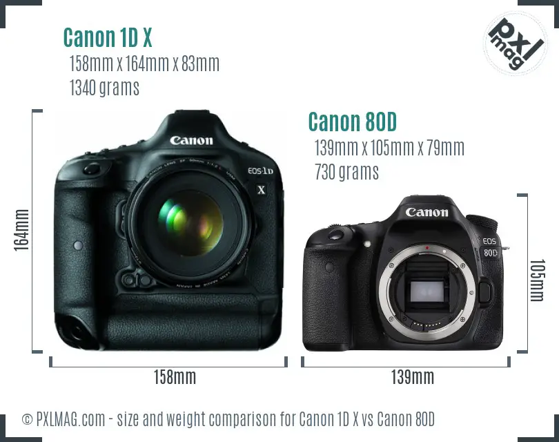 Canon 1D X vs Canon 80D size comparison Canon 1D X vs Canon 80D size comparison