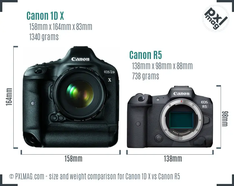 Canon 1D X vs Canon R5 size comparison