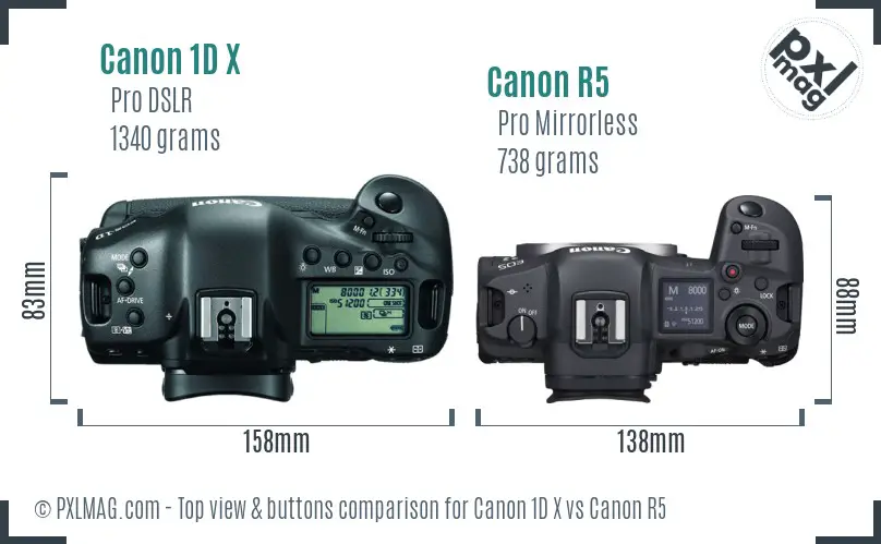 Canon 1D X vs Canon R5 top view buttons comparison
