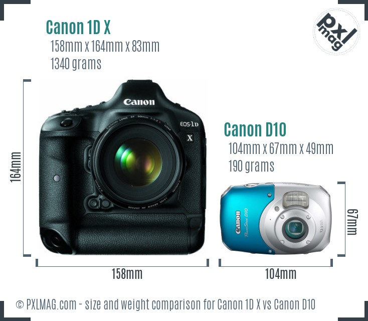 Canon 1D X vs Canon D10 size comparison