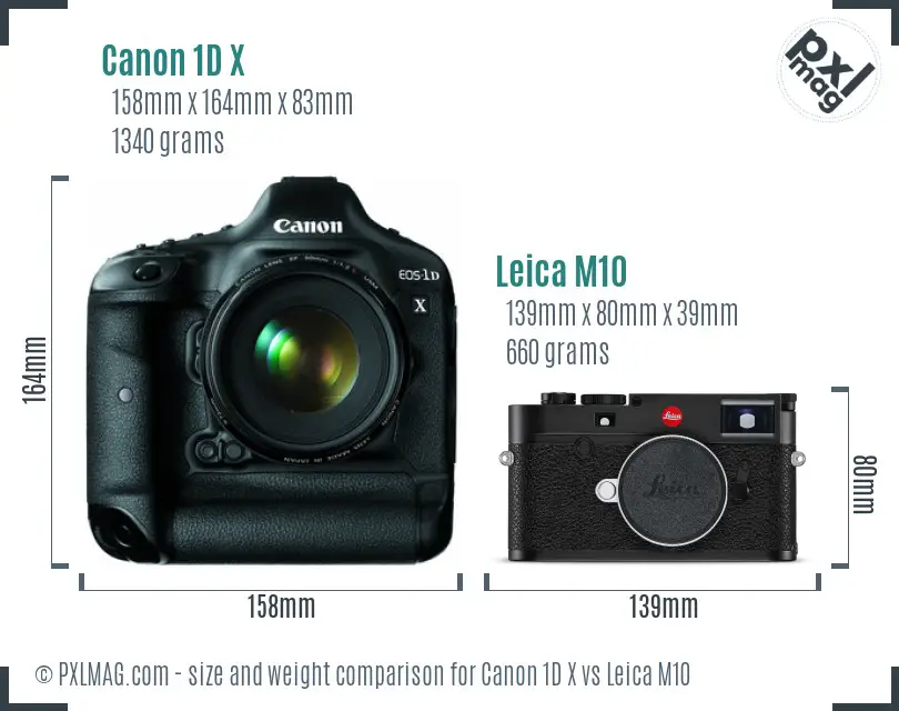 Canon 1D X vs Leica M10 size comparison