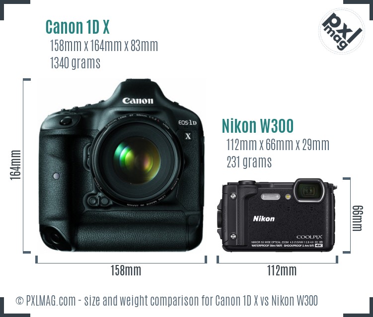 Canon 1D X vs Nikon W300 size comparison