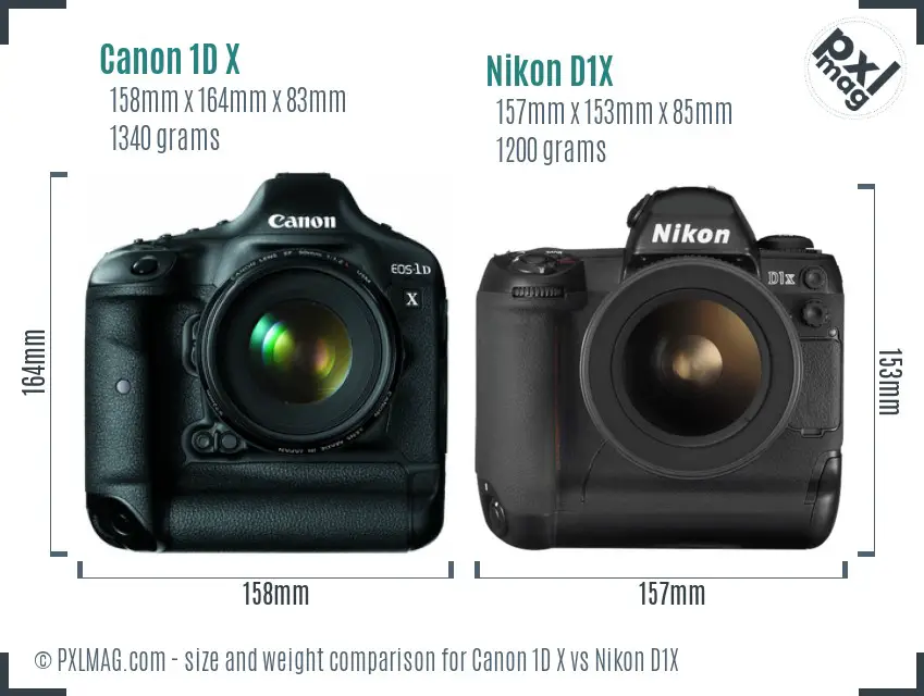 Canon 1D X vs Nikon D1X size comparison