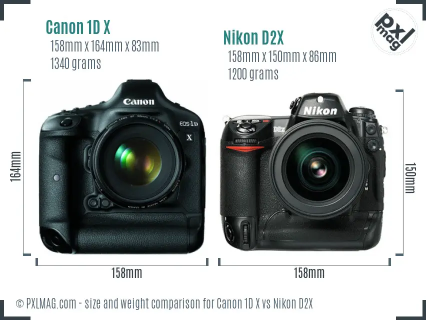 Canon 1D X vs Nikon D2X size comparison