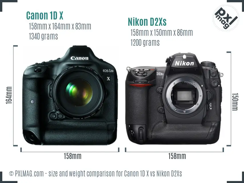 Canon 1D X vs Nikon D2Xs size comparison