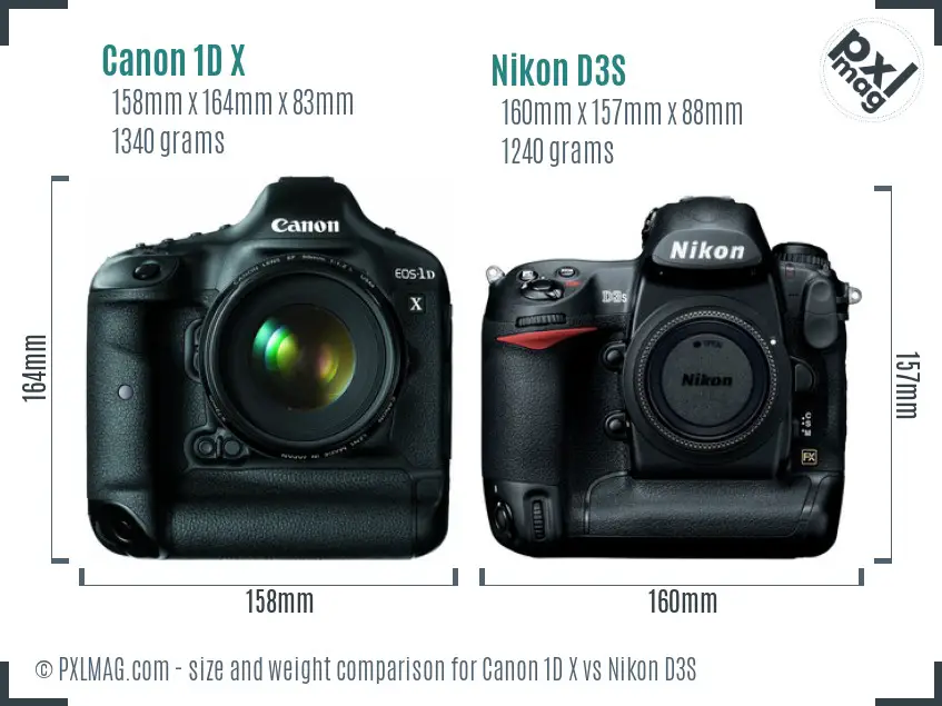 Canon 1D X vs Nikon D3S size comparison