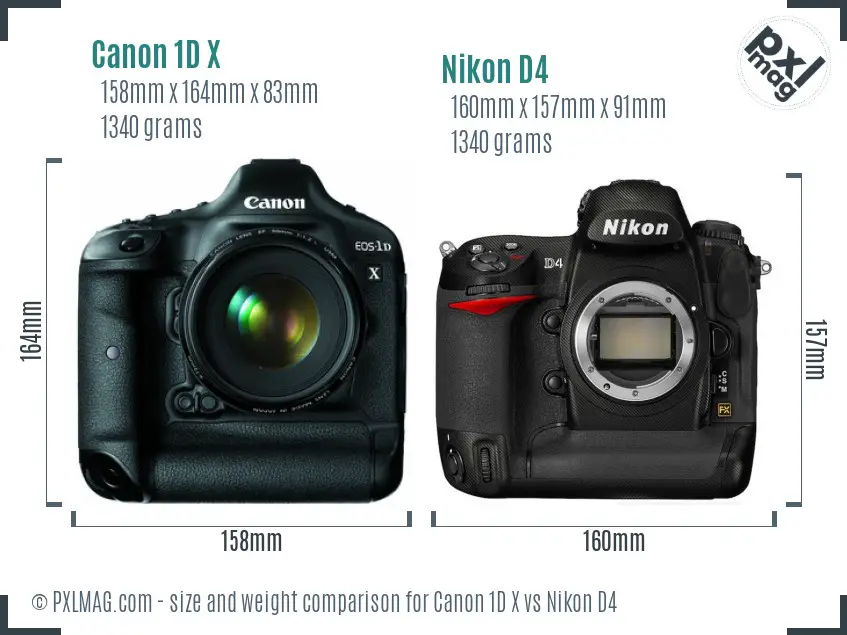 Canon 1D X vs Nikon D4 size comparison