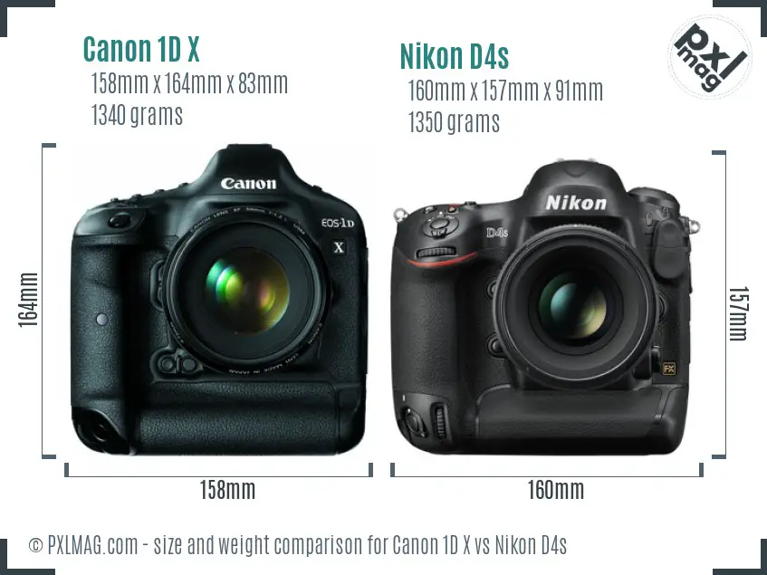 Canon 1D X vs Nikon D4s size comparison