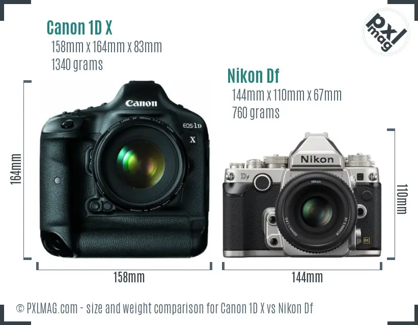 Canon 1D X vs Nikon Df size comparison