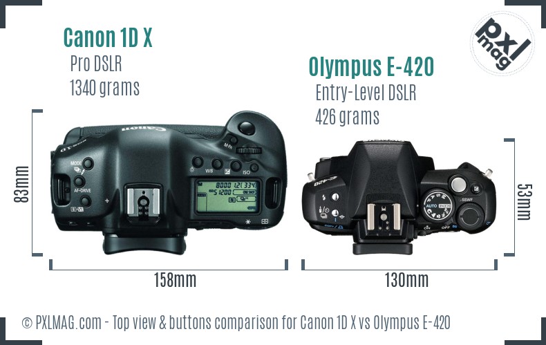 Canon 1D X vs Olympus E-420 top view buttons comparison
