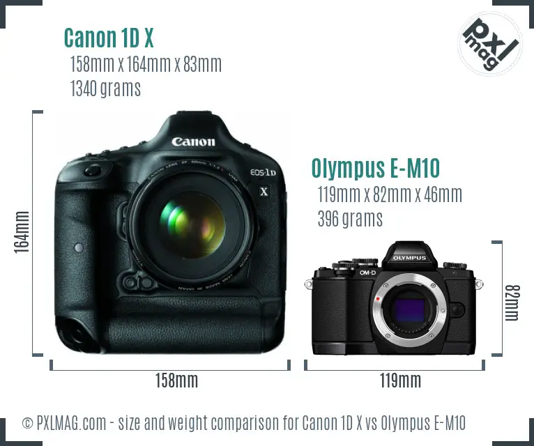 Canon 1D X vs Olympus E-M10 size comparison