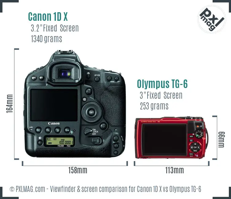 Canon 1D X vs Olympus TG-6 Screen and Viewfinder comparison