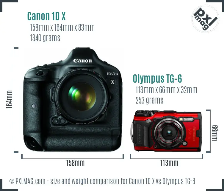 Canon 1D X vs Olympus TG-6 size comparison